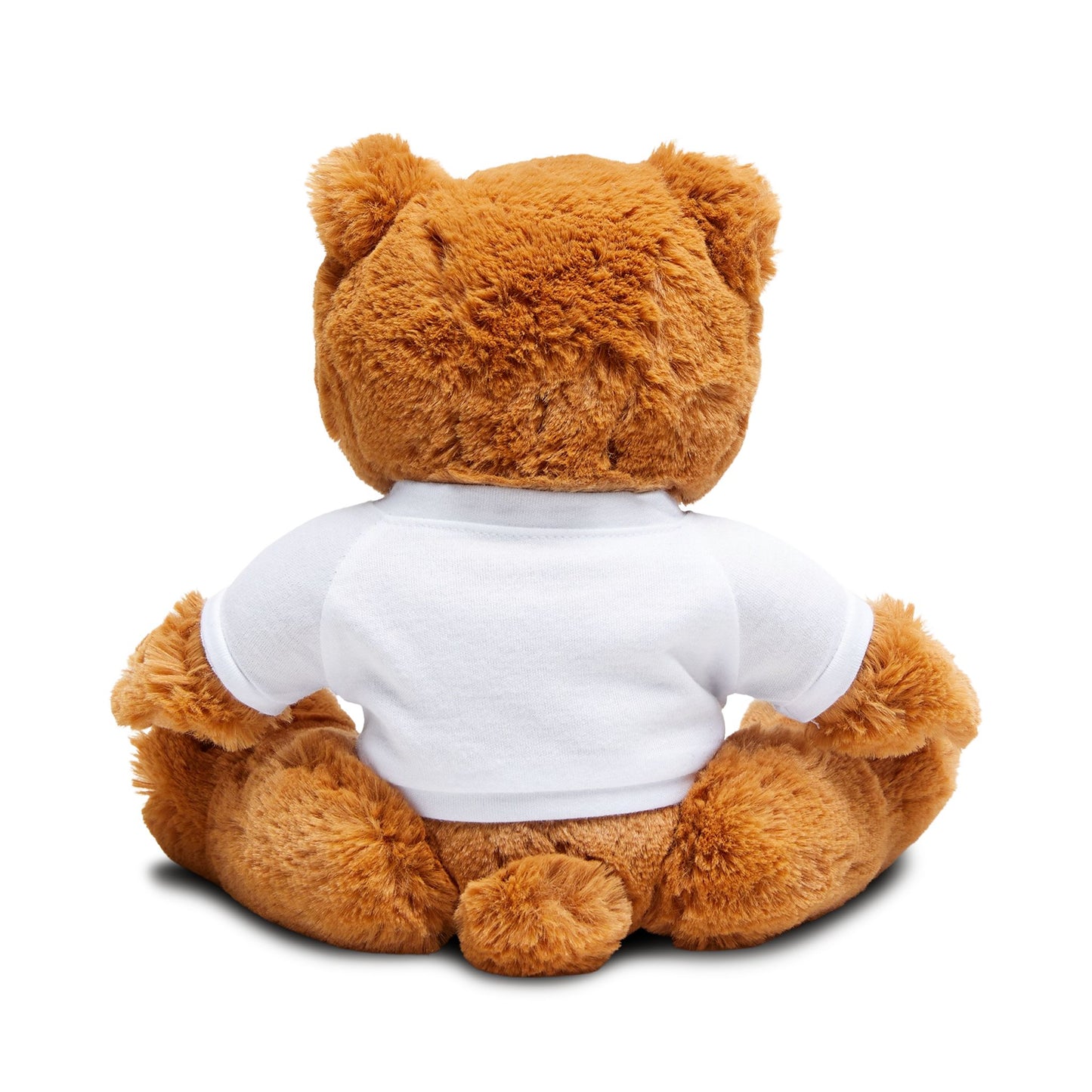 Tatty Bear with T-Shirt